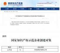 公司獲國家知識產權強國建設示范企業(yè)創(chuàng)建對象